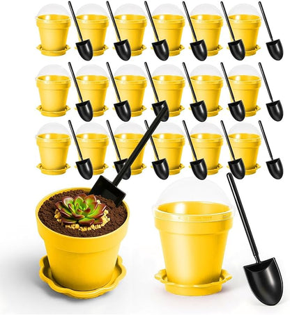 20 Pcs Nursery Pots with Humidity Dome, Flower Pot Dessert Cups with Bring A by Unknown