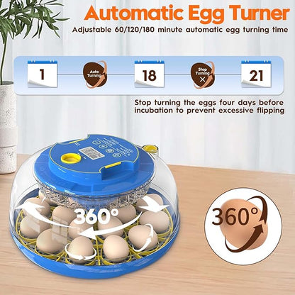 Incubator for Hatching Eggs-18 Egg Incubator - Image 4