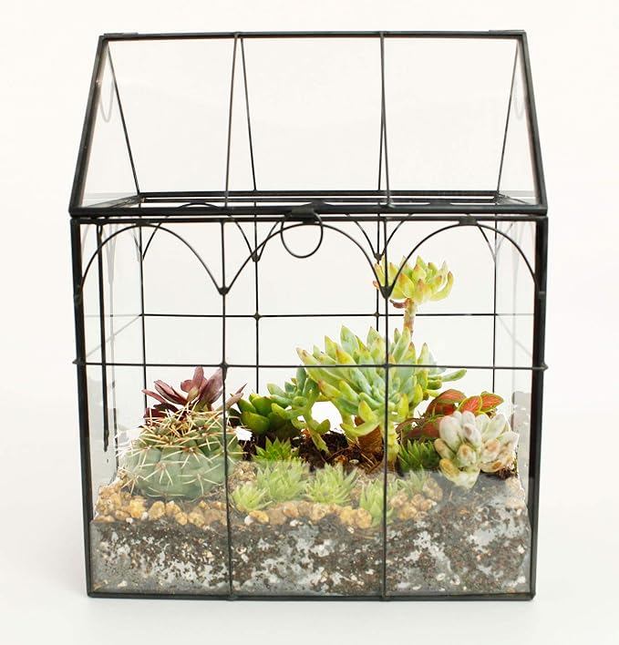 ELEGANTLIFE Glass Geometric Plant Terrarium, Succulent & Air Planter - Image 8