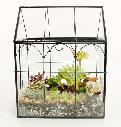 ELEGANTLIFE Glass Geometric Plant Terrarium, Succulent & Air Planter - Image 8