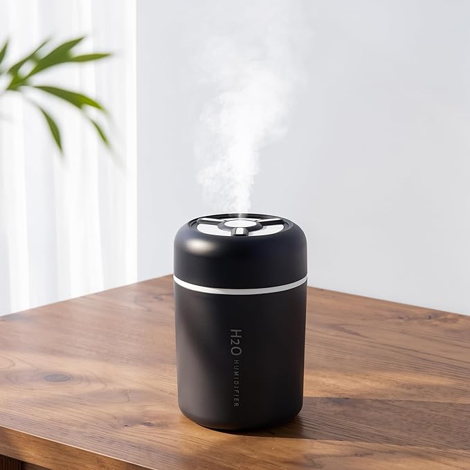 Portable Mini Humidifier, 300ml USB Cool Mist Small Humidifier by Riecin