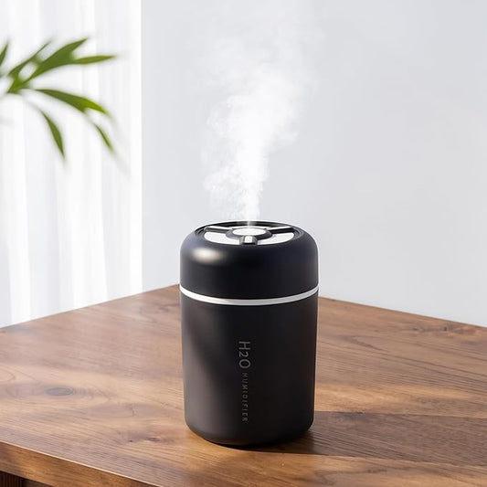 Portable Mini Humidifier, 300ml USB Cool Mist Small Humidifier by Riecin