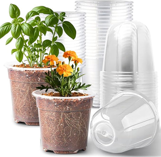 6 Inch Clear Nursery Pots with Humidity Dome, 30 Pack Reusable Seed Starter Pot by RooTrimmer