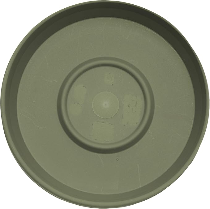 Bloem Terra Resin Saucer Tray: 8" Bottom Width - Image 5