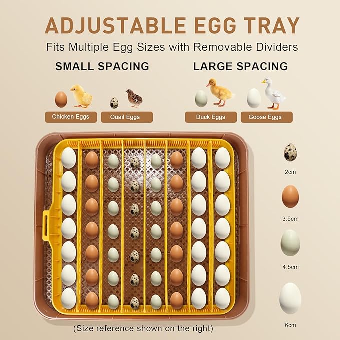 Master 56 Egg Incubator for Breeders, Fully Automated, Accurate Humidity & Temp - Image 6