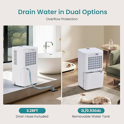 NEWBULIG 30Pints Dehumidifier - Image 2