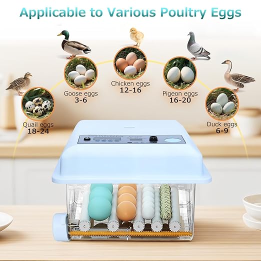 Incubators for Hatching Eggs 16 Egg Automatic Egg Incubator - Image 2