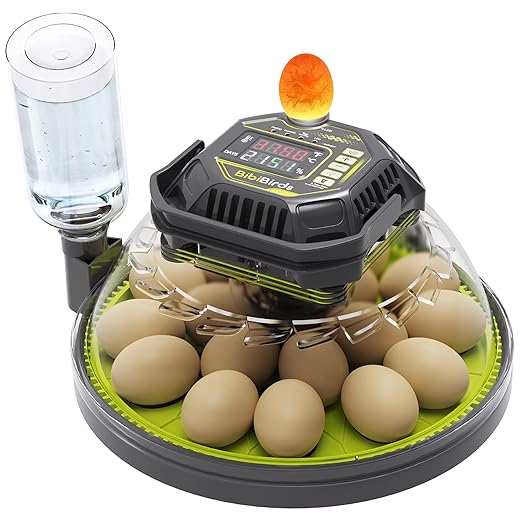 Egg Incubator with Automatic Egg Turning and Humidity Control, Built in Atomizer by BIBIBIRDS