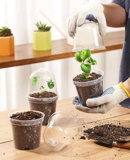 homenote Clear Nursery Pots for Plants, 5 Inch Plant Pot for Planting - Image 3