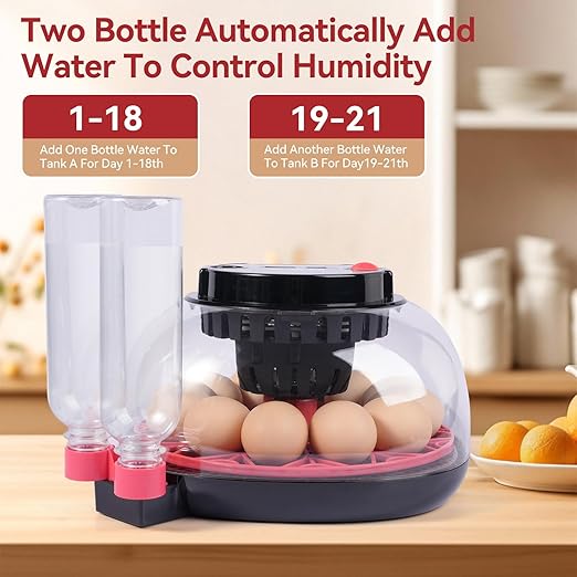 12 Egg Incubators for Hatching Eggs, Chicken Egg Incubator - Image 4