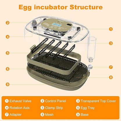 24 Egg Incubators for Hatching, Automatic Egg Turning and Temperature Control - Image 8