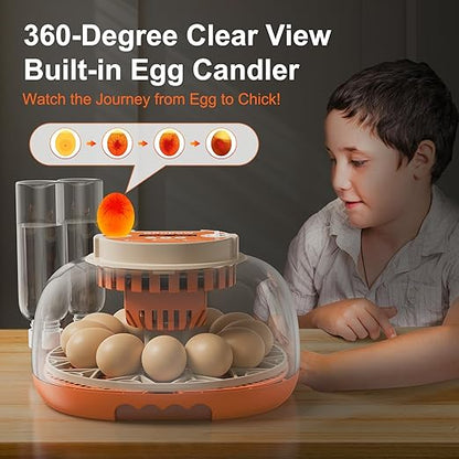 12 Egg Incubator, Automatic Turning - Image 7