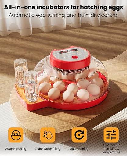 18 Incubators for Hatching Eggs - Image 3