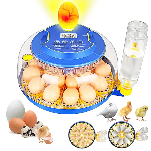 Automatic Egg Incubator with Auto-Turning & Humidity Control, 18 Eggs Capacity by Unknown