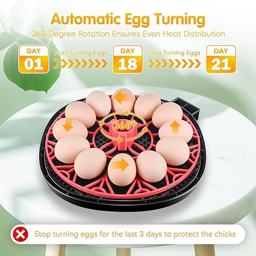 Egg incubators for Hatching Eggs, Automatic Egg Turning 12-24 Poultry Incubator - Image 3