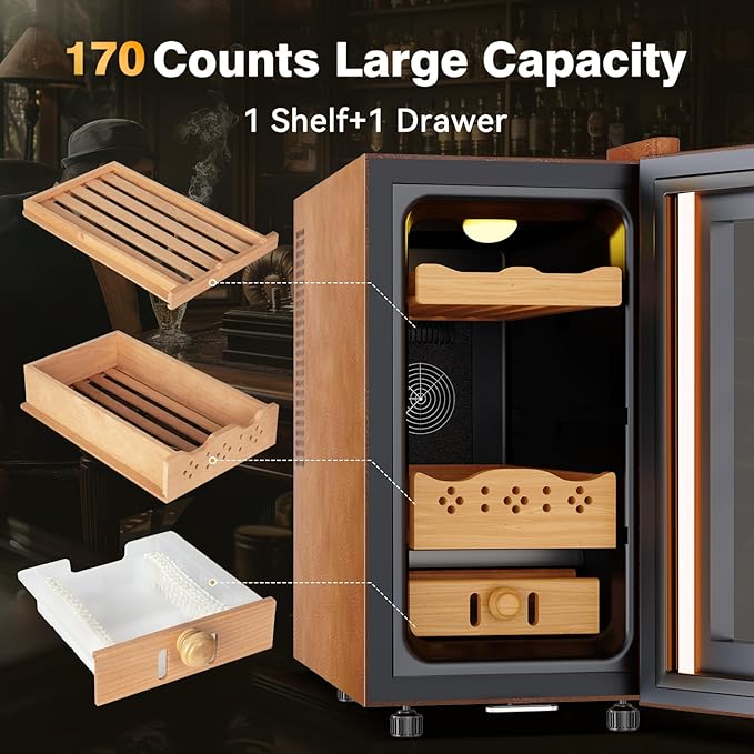 Electric Cooler Cabinet 25L - Image 7