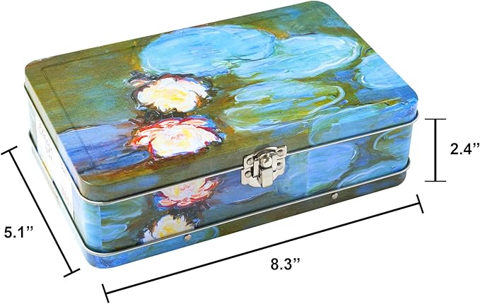 DAHO Metal Storage Box with Hinge - Image 5