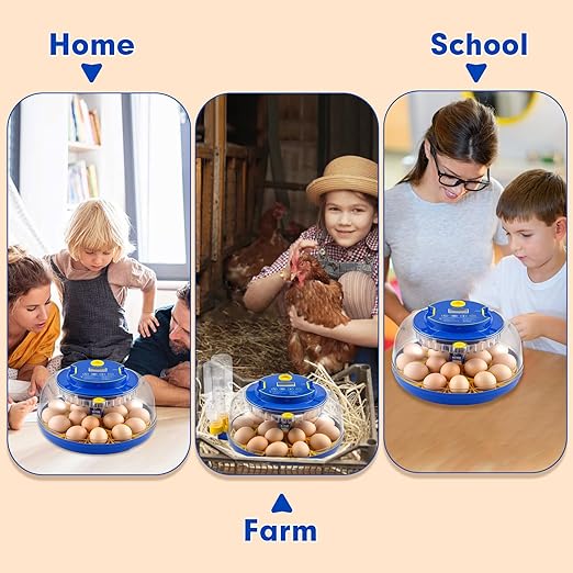 18 Egg Incubator Automatic Egg Turner Temperature & Humidity Control, Incubators - Image 7