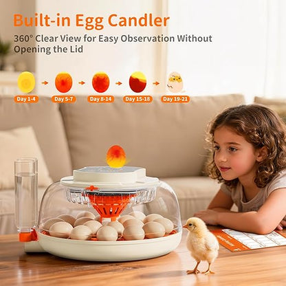 18 Egg Incubator, 2 Egg Trays, Automatic Egg Turning - Image 6