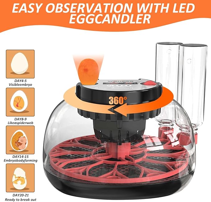 Egg Incubators for Hatching Eggs, Incubator for 12 Eggs Automatic Turning - Image 2