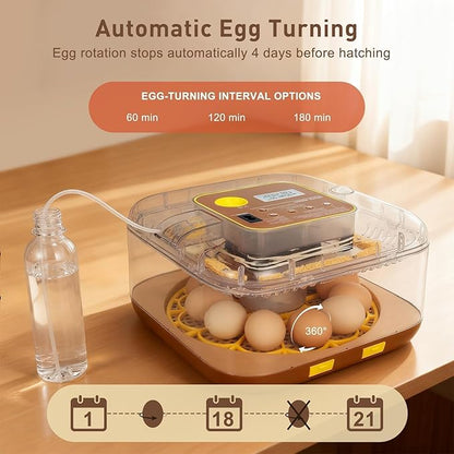 2026 New Auto 12-Egg Incubator for Beginners, Automated Incubation, - Image 6
