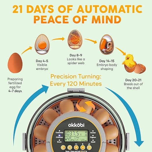 12 Egg Incubator with Automatic Egg Turning and Humidity Control – Temperature - Image 2
