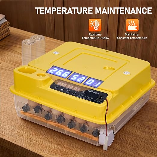 Winado Incubators for Hatching Eggs, 30 Egg Incubator - Image 2