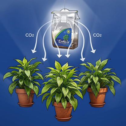 ExHale CO2 Original Bag - Image 6