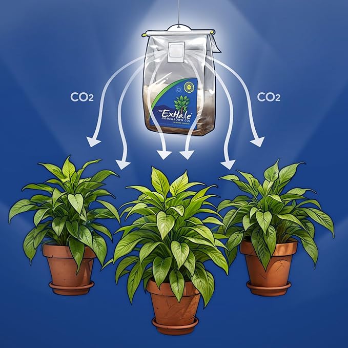 ExHale Homegrown CO2 Original - Image 5