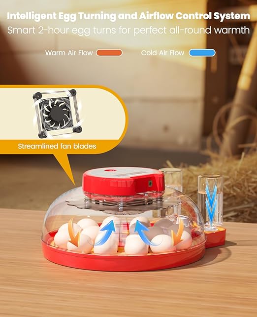 18 Incubators for Hatching Eggs - Image 7