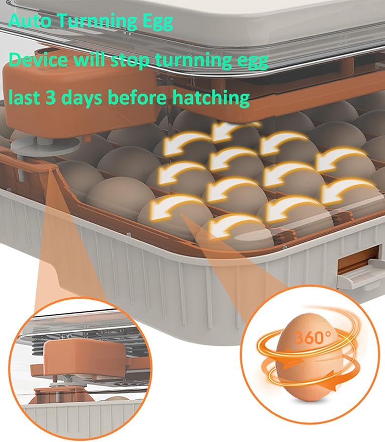 Egg Incubator for Hatching Eggs, Intelligent 56 Eggs Incubator - Image 6