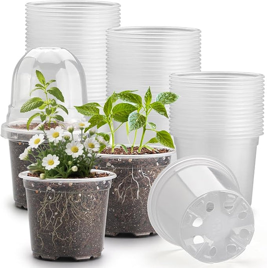 60 Pack Clear Nursery Pots by RooTrimmer