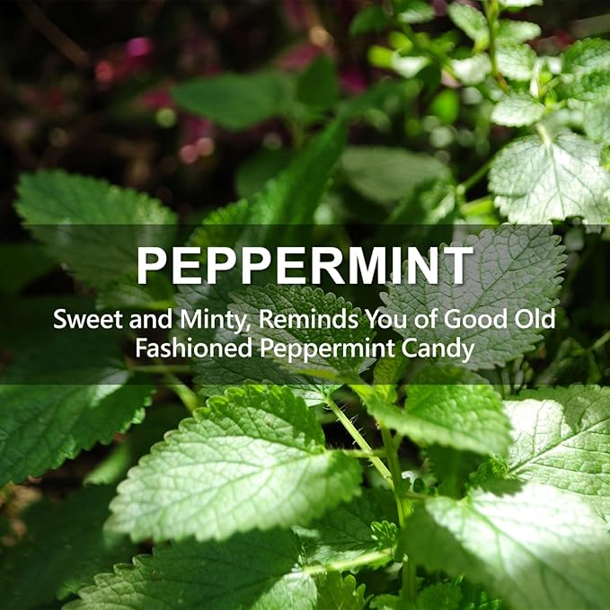 ROSE COTTAGE Large 12 Packs Peppermint Hanging Closet Deodorizer Air Freshener - Image 7