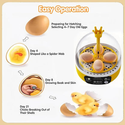 4 Eggs Mini Incubator with Transparent Lid, 7W Automatic Temperature Humidity - Image 4