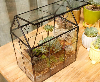 ELEGANTLIFE Glass Geometric Plant Terrarium, Succulent & Air Planter - Image 5