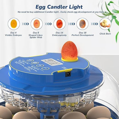 Incubator for Hatching Eggs - Image 3