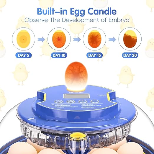 Egg incubators for Hatching Eggs, Automatic Egg Turning 12-24 Poultry Incubator - Image 4