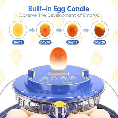 Egg incubators for Hatching Eggs, Automatic Egg Turning 12-24 Poultry Incubator - Image 4