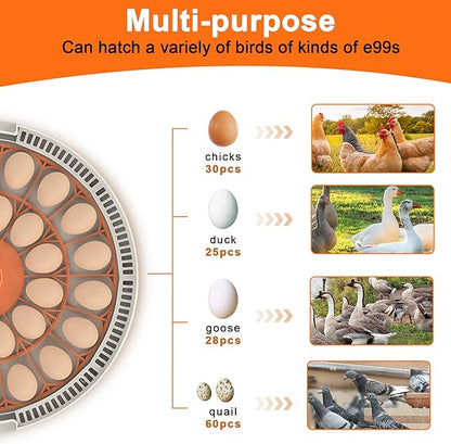30 Egg Incubator with Automatic Egg Turning and Humidity Control, 360 Degree - Image 4
