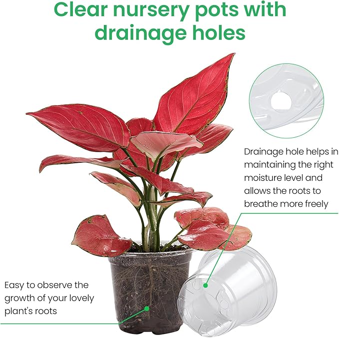 36 Packs 5/4/3.5 Inch Reinforced Clear Nursery Pots - Image 3