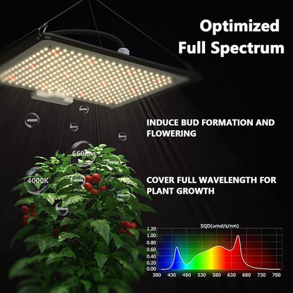 Upgrade Integrated Auto 2'X2' Grow Tent Kit Complete System, S1000 LED Grow - Image 3