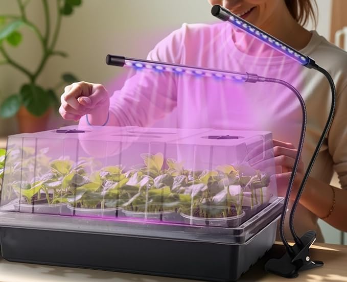 50p 3.5" Clear Nursery Pots - Image 2