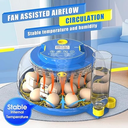 incubators for hatching eggs，18 Egg Incubator, egg incubator - Image 2