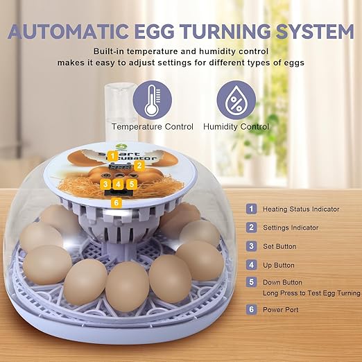 1st Gen - 12 Egg Automatic Incubator, Steady Humidity - Image 2