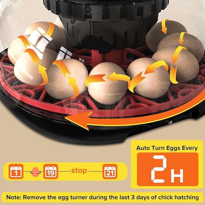 Incubator with Automatic Egg Turning and Humidity Control, Incubators - Image 5
