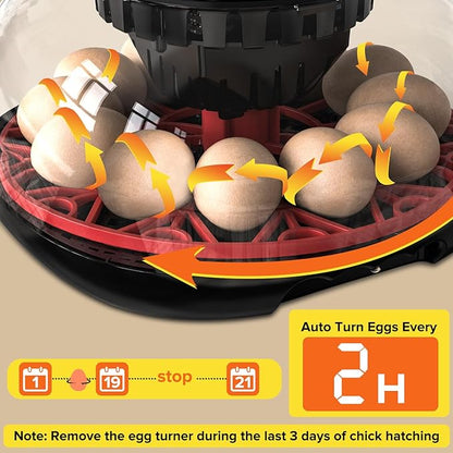 Incubator with Automatic Egg Turning and Humidity Control, Incubators - Image 5