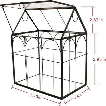 ELEGANTLIFE Glass Geometric Plant Terrarium, Succulent & Air Planter - Image 2