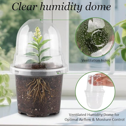 Transparent Nursery Pots 4Inch - Image 2