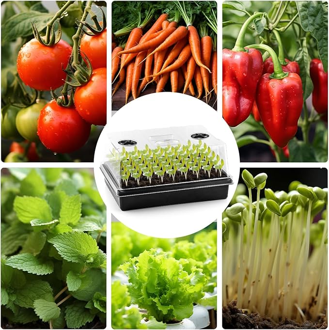 4-Pack Seed Starter Trays with 5'' Tall Humidity Domes – Reusable Plant - Image 8