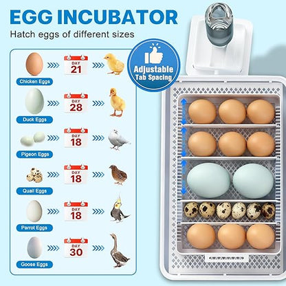 Incubators for Hatching Eggs 15-35 Eggs Incubator - Image 2